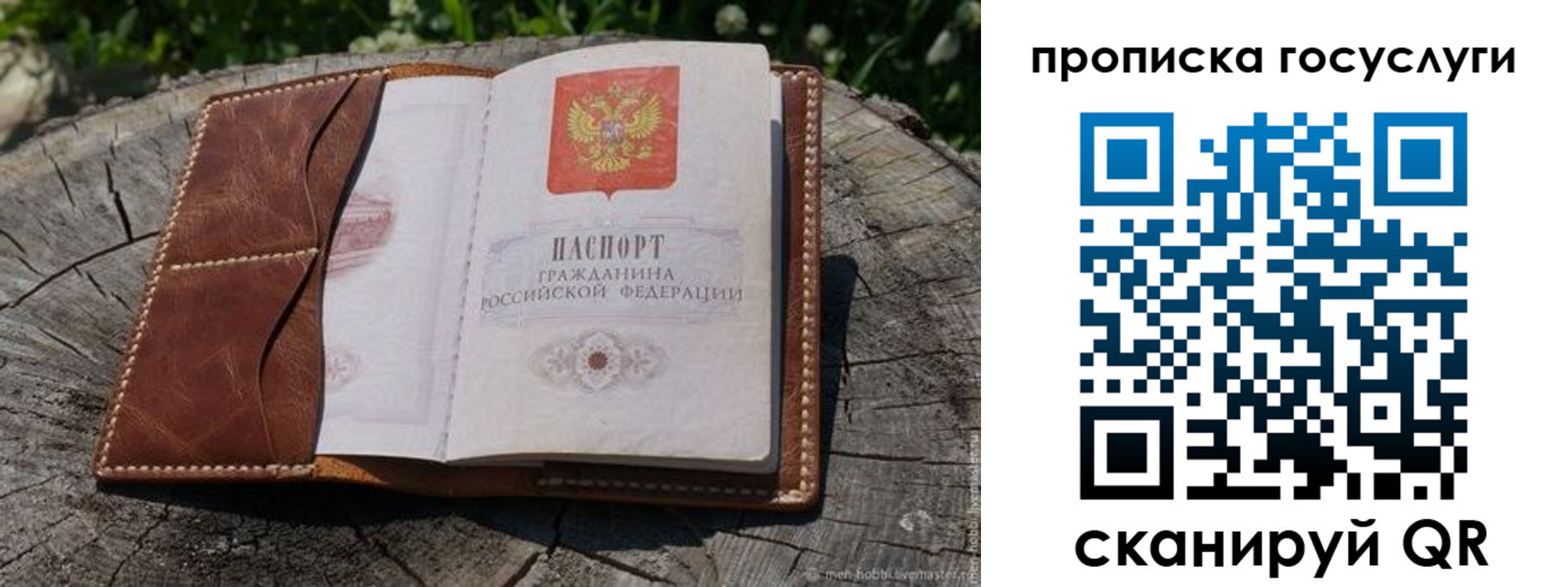 прописка для школы в Моздоке
